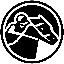 zkRace logo