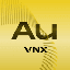 VNX Gold logo