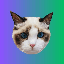 Taylor Swift's Cat BENJI logo