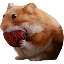 nomnom logo
