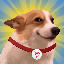 SUNDOG-logo