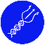 PoSciDonDAO logo