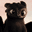 Toothless logo