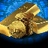DIGITAL GOLD logo
