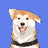 Hachiko logo