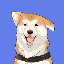 Hachiko logo