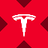 Tesla tokenized stock (xStock) logo