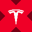 Tesla tokenized stock (xStock) logo
