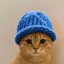 catwifhat (catwifhat.us)-logo