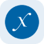 Direxion Semiconductor Bull 3X Tokenized Stock (Reality)-logo