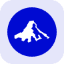 Invesco QQQ Tokenized Stock (Reality)-logo