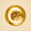 Catecoin (catecoin.shop)-logo