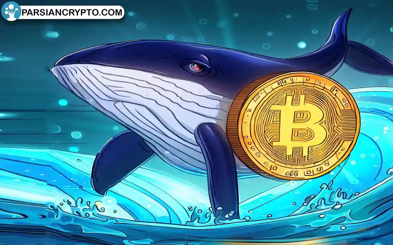 نهنگ ارز دیجیتال چیست؟ تاثیر نهنگ ارز دیجیتال بر بازار + اهمیت ردیابی نهنگ ها عکس