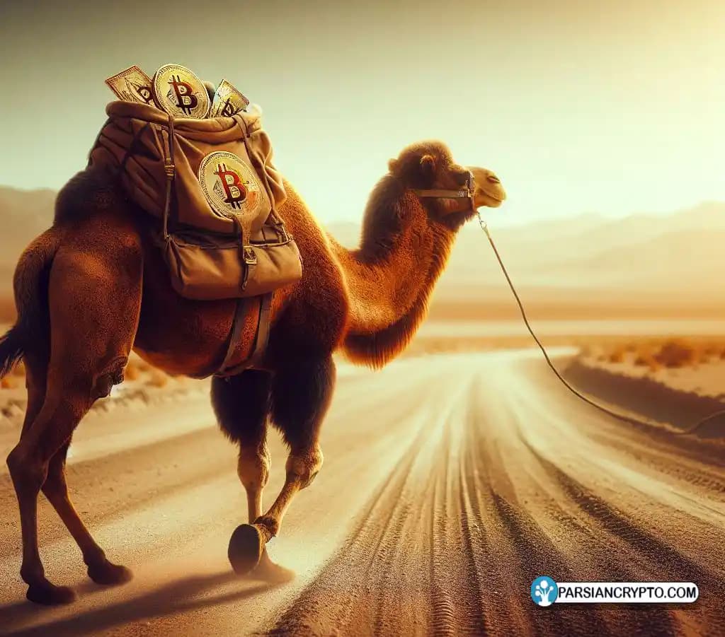 توقیف ۱۵۰ میلیون دلار ارز دیجیتال از یک قاچاقچی مواد مخدر در جاده ابریشم تصویر 