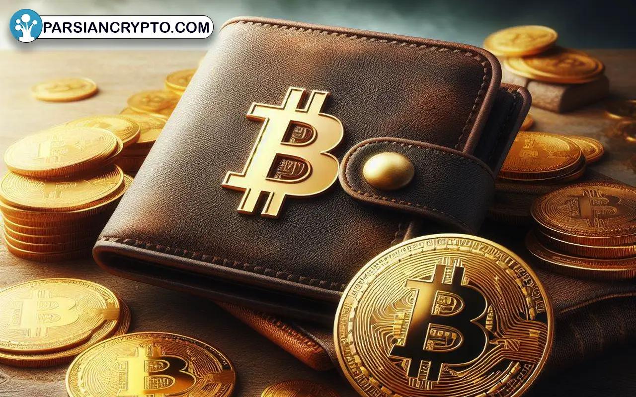 روش های نگهداری BTC در بهترین کیف پول بیت‌کوین + انواع ولت Bitcoin عکس