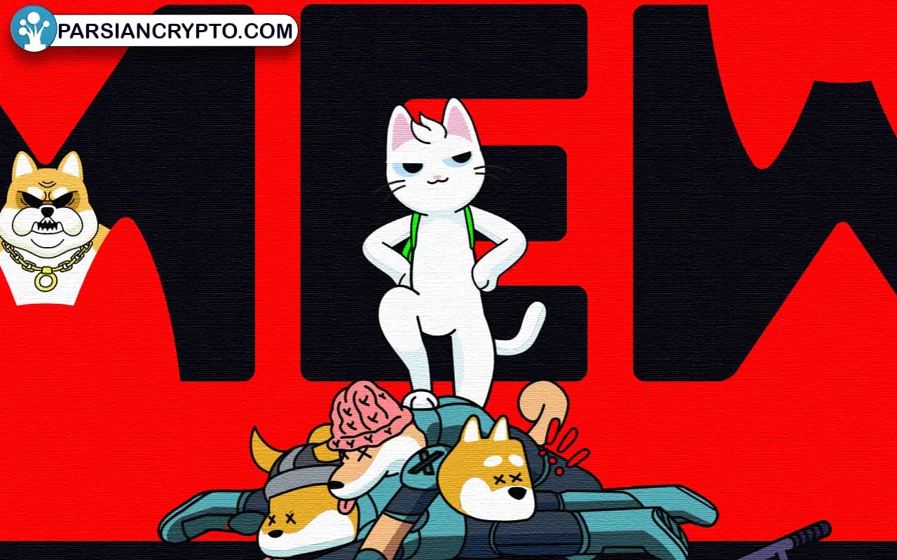 معرفی ارز دیجیتال MEW