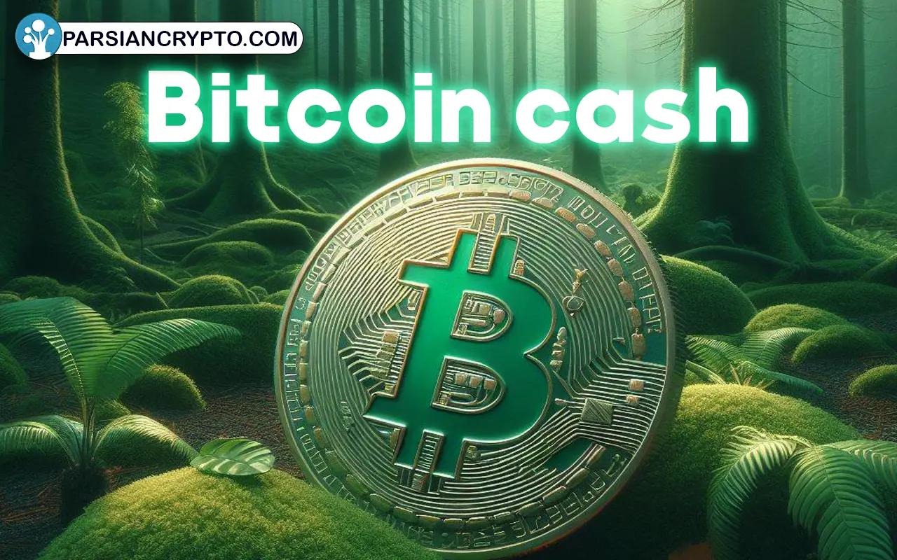 معرفی ارز دیجیتال بیت کوین کش؛ نحوه خرید و نگهداری + آینده Bitcoin cash  عکس