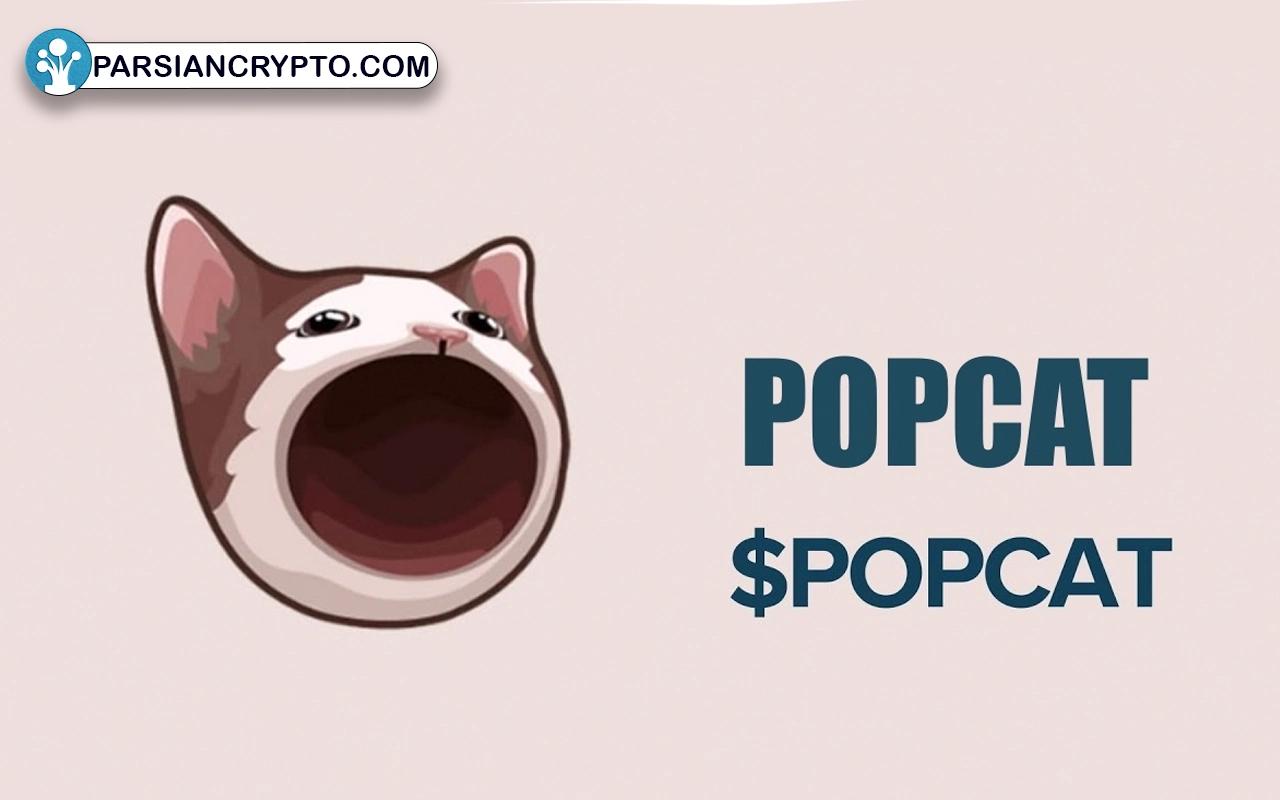 پاپ کت (POPCAT)