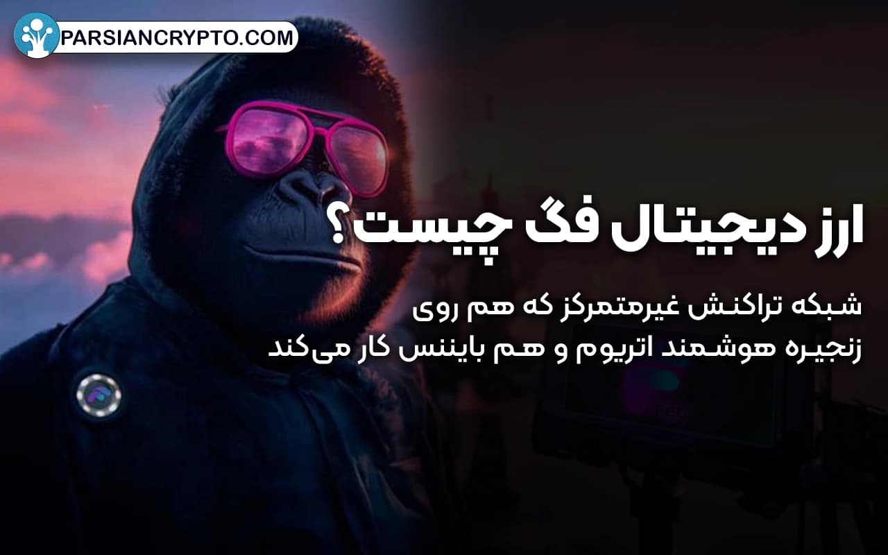 ارز دیجیتال فگ چیست؟