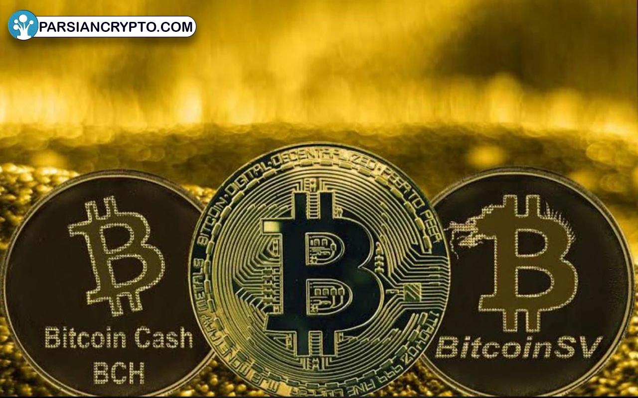 مقایسه عملکرد BSV با بیت کوین و بیت کوین کش