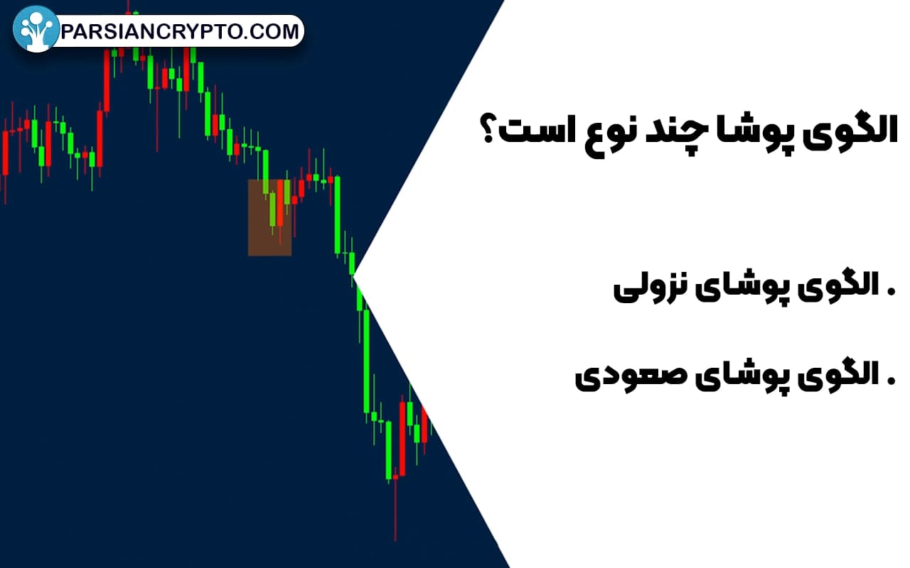 الگوی پوشا چند نوع است؟