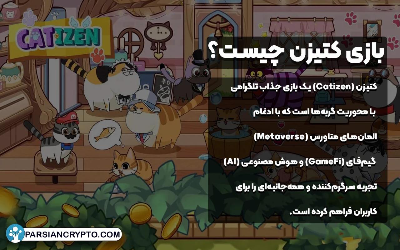 بازی کتیزن چیست؟