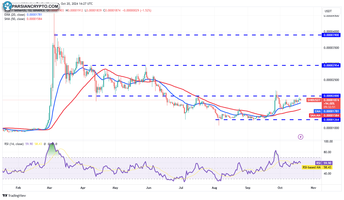 نمودار روزانه SHIB/USDT در بازار کریپتو