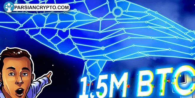 تحلیل هیجان‌انگیز: نهنگ‌های بیت‌کوین در راه رشد قیمت! عکس