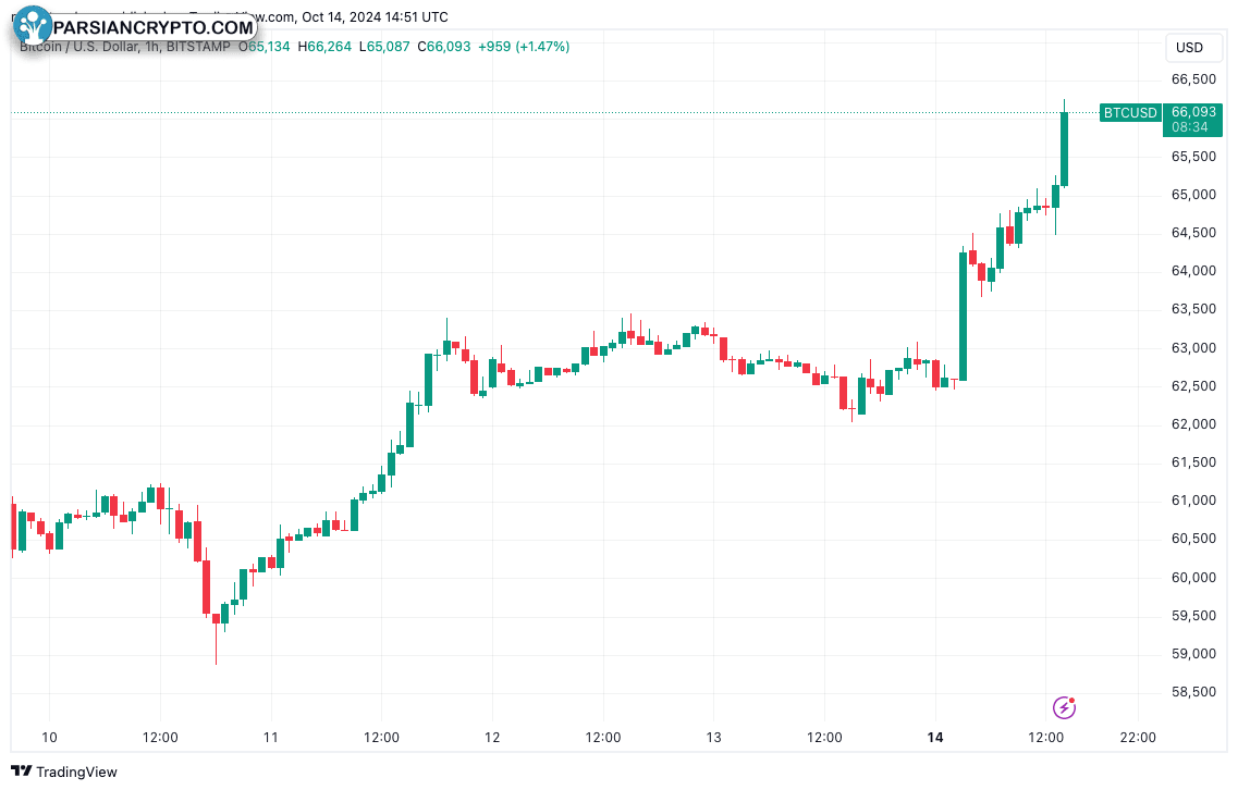 نمودار یک ساعته BTC/USD در بازار ارز دیجیتال