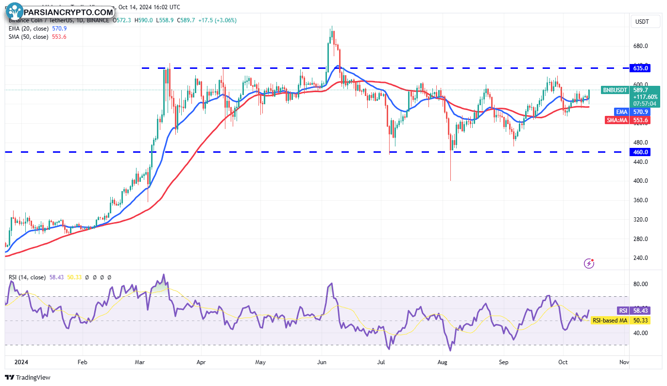 نمودار روزانه BNB/USDT در بازار ارز دیجیتال