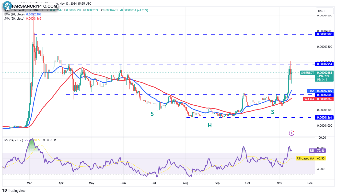 نمودار روزانه SHIB/USDT در بازار ارز دیجیتال