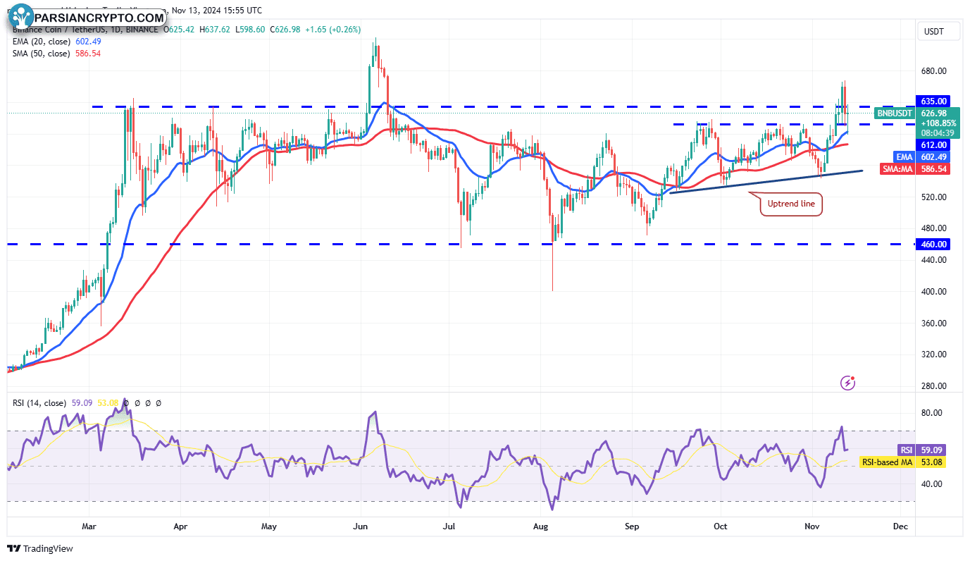 نمودار قیمتی یک روزه BNB