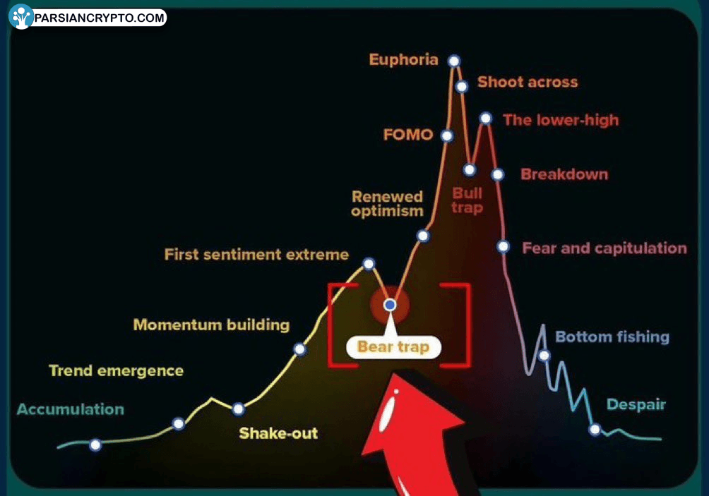 تله خرسی بیت کوین و روانشناسی بازار