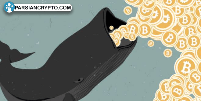 پیش‌بینی صعود لایت کوین: آیا ۱۰۰۰ دلار دست‌یافتنی است؟ عکس