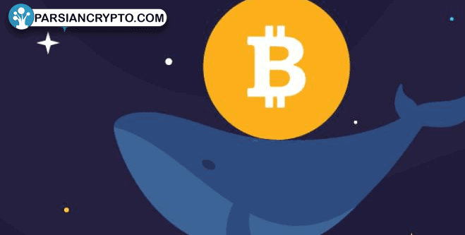آیا انباشت بیت کوین توسط نهنگ‌ها به افزایش قیمت منجر خواهد شد؟ عکس