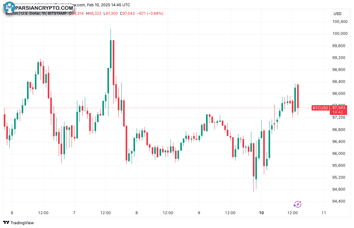 Data, Memecoin