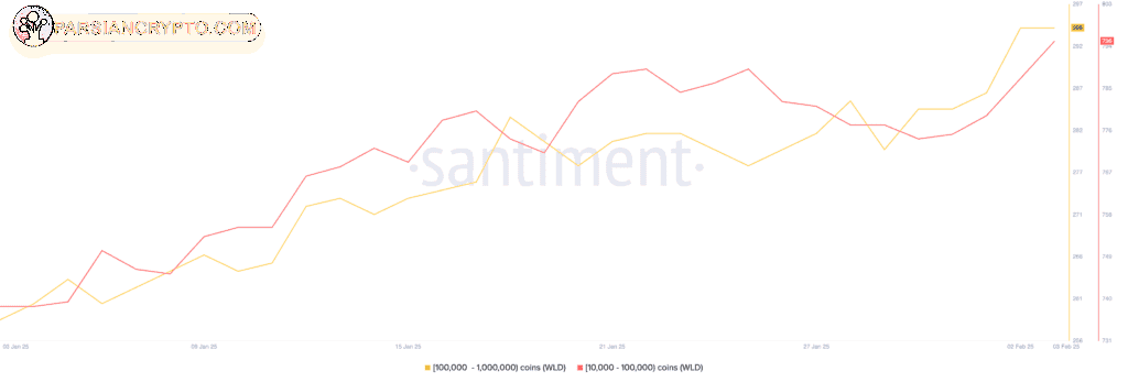 انباشت ورلد کوین توسط نهنگ‌ها