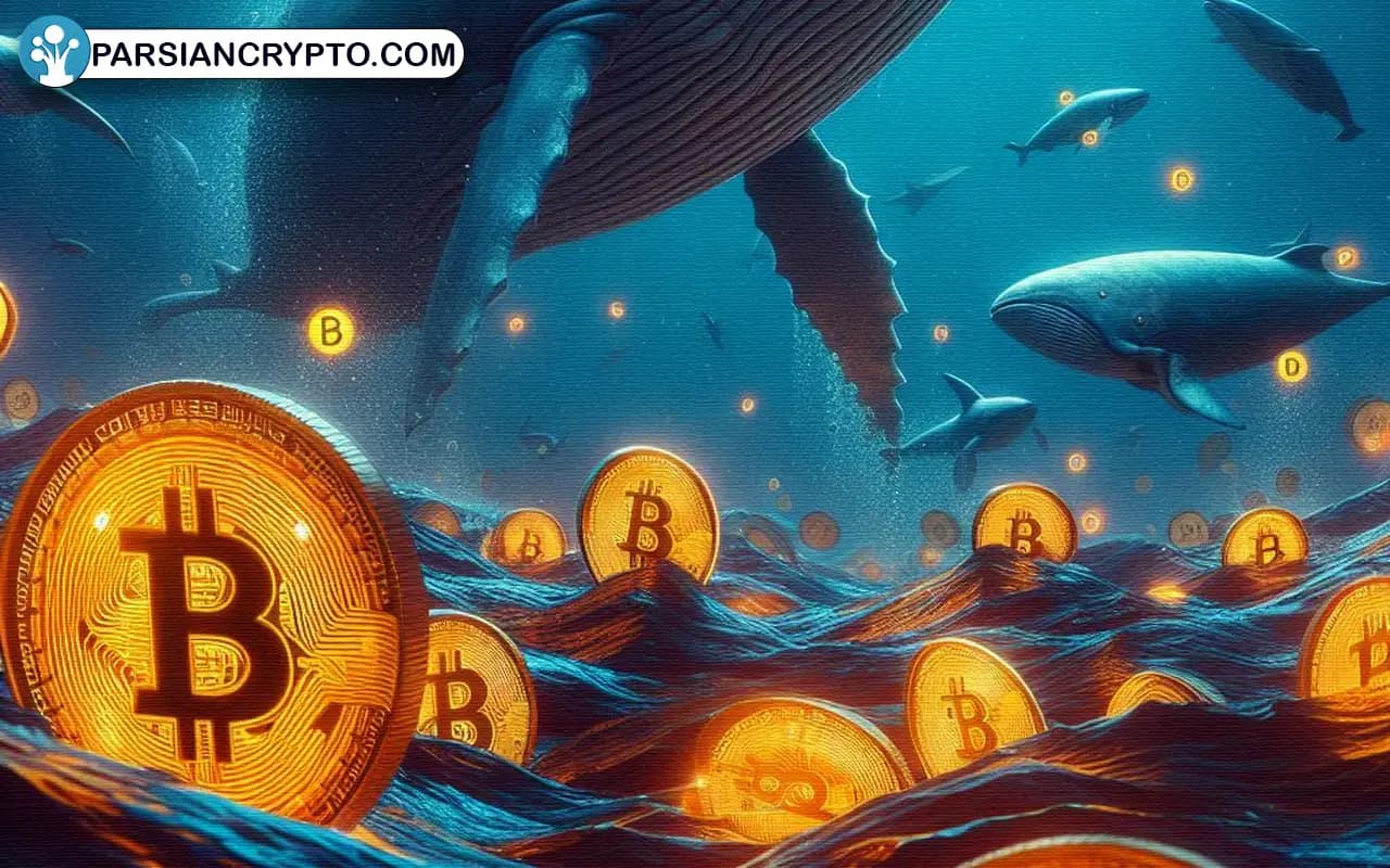نهنگ‌های بازار کریپتو در کمین: آیا بیت کوین، پپه و ENS آماده جهش هستند؟ عکس