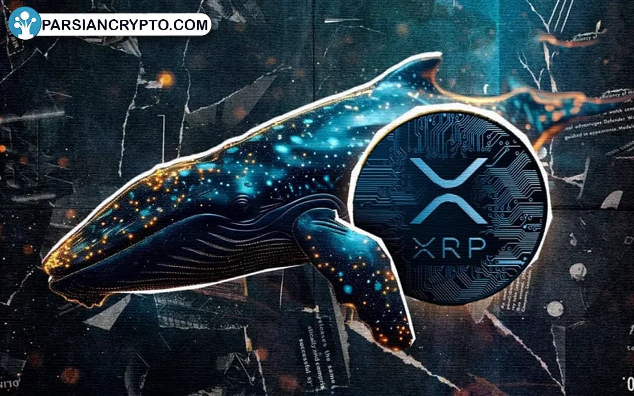 نهنگ‌های XRP منتظر پایان دادگاه ریپل و SEC هستند؟ تصویر 