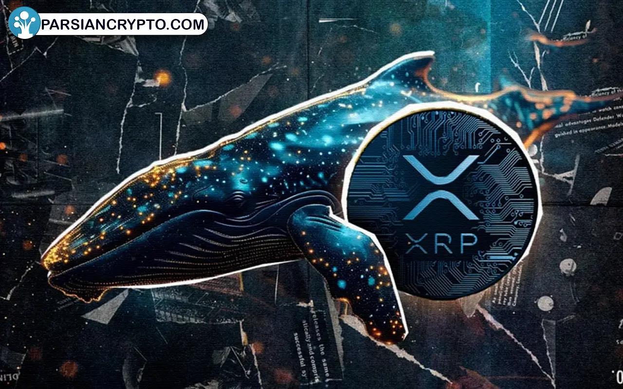 نهنگ‌های XRP منتظر پایان دادگاه ریپل و SEC هستند؟ عکس