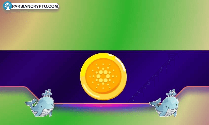 آیا کاردانو به پیشروی صعودی خواهد رسید؟ نهنگ‌ها سرمایه‌گذاری سنگین کردند! عکس