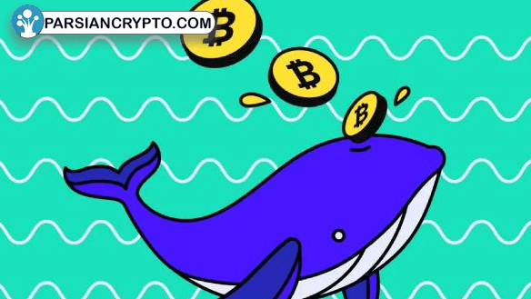 نهنگ‌های بازار کریپتو به دنبال یونی سواپ، پنکیک سواپ و اوندو جذابیت جدید! عکس