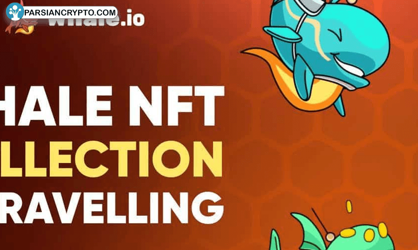 انتقال بزرگ NFT Whale.io به سولانا؛ انفجاری در دنیای بلاکچین عکس