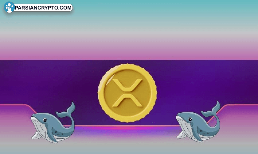 نهنگ‌های XRP منتظر پایان دادگاه ریپل و SEC هستند؟ عکس