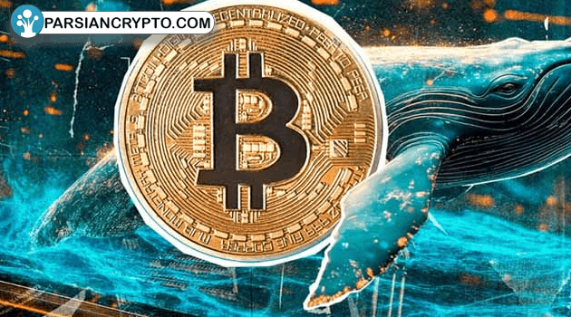 آیا نهنگ مرموز، قیمت بیت کوین را زیر ۸۴ هزار دلار نگه می‌دارد؟ عکس
