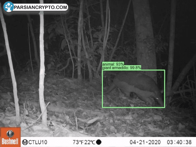 altcoins-could-add-crypto-strategic-list-