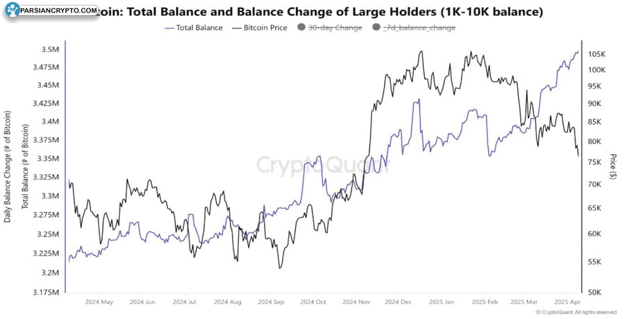 bitcoin-whales-have-been-buying-like-never-before-analyst