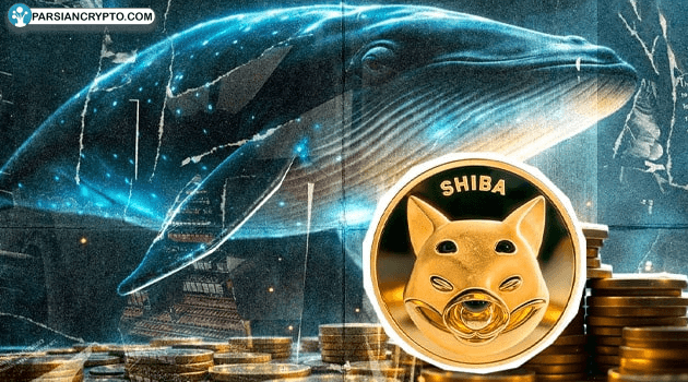 انباشت ۱۶۰ میلیاردی شیبا توسط نهنگ‌ها؛ آیا جهش قیمت در راه است؟ عکس