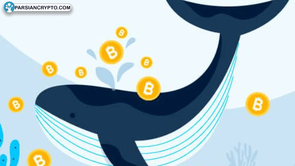 آیا نهنگ‌ها با خرید اتریوم می‌توانند بازار را دوباره صعودی کنند؟ عکس