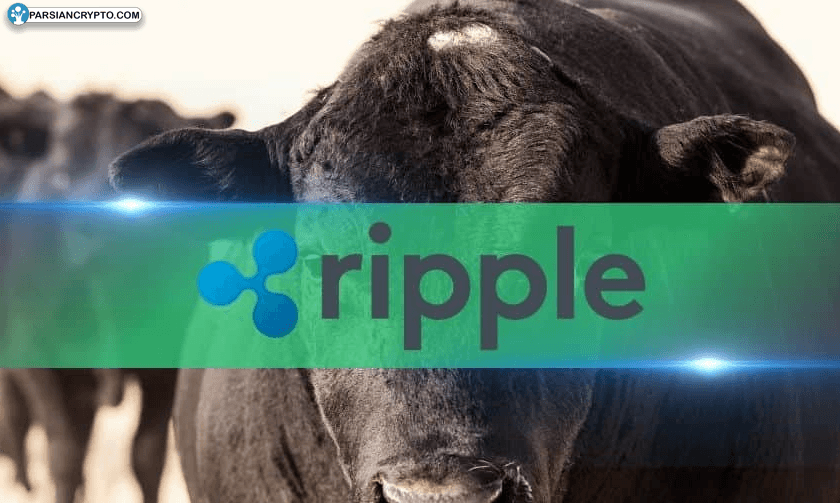 XRP در مسیر صعود شگفت‌انگیز—نقشه راه تا سال ۲۰۲۵ عکس